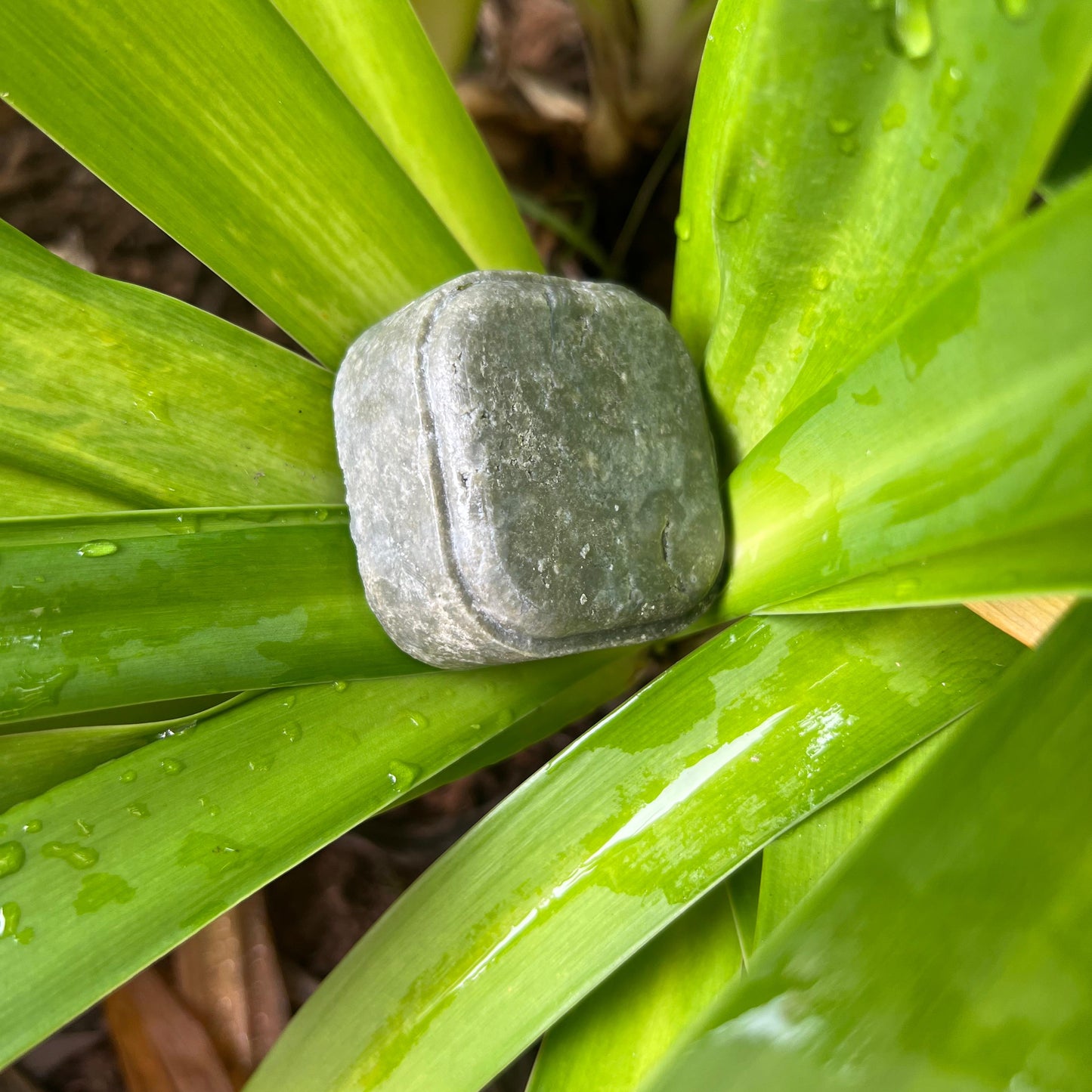 Shampoo Menta e Alecrim